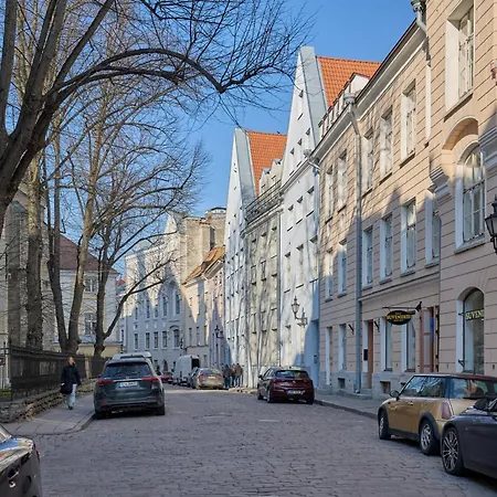 公寓 Spacious Old Town With Sauna
